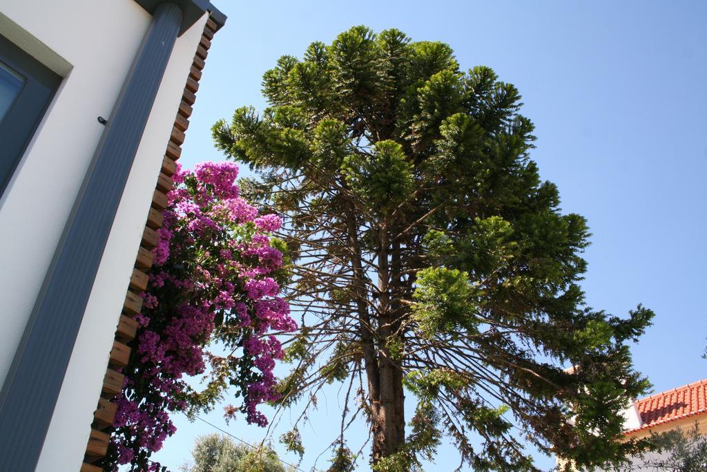 Gasthaus Vilaportuguesa Vila Velha de Rodao Exterior foto